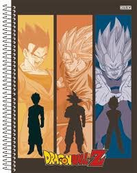 CAD S.D DRAGON BALL 15M 240F
