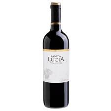 Vinho chileno Santa Lucia Merlot 750ml